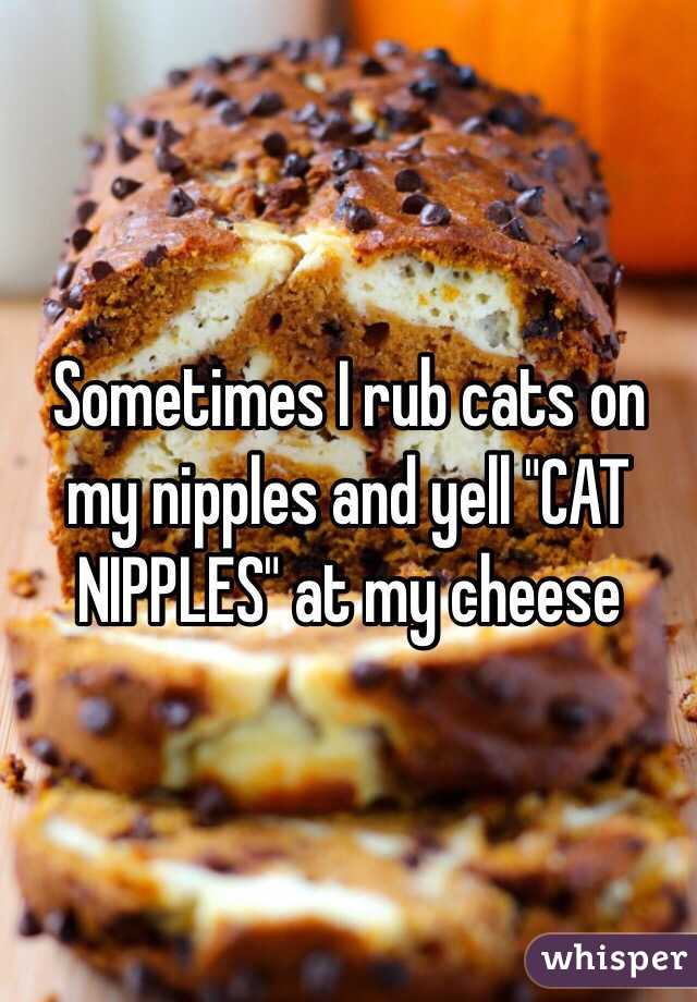 Sometimes I rub cats on my nipples and yell "CAT NIPPLES" at my cheese