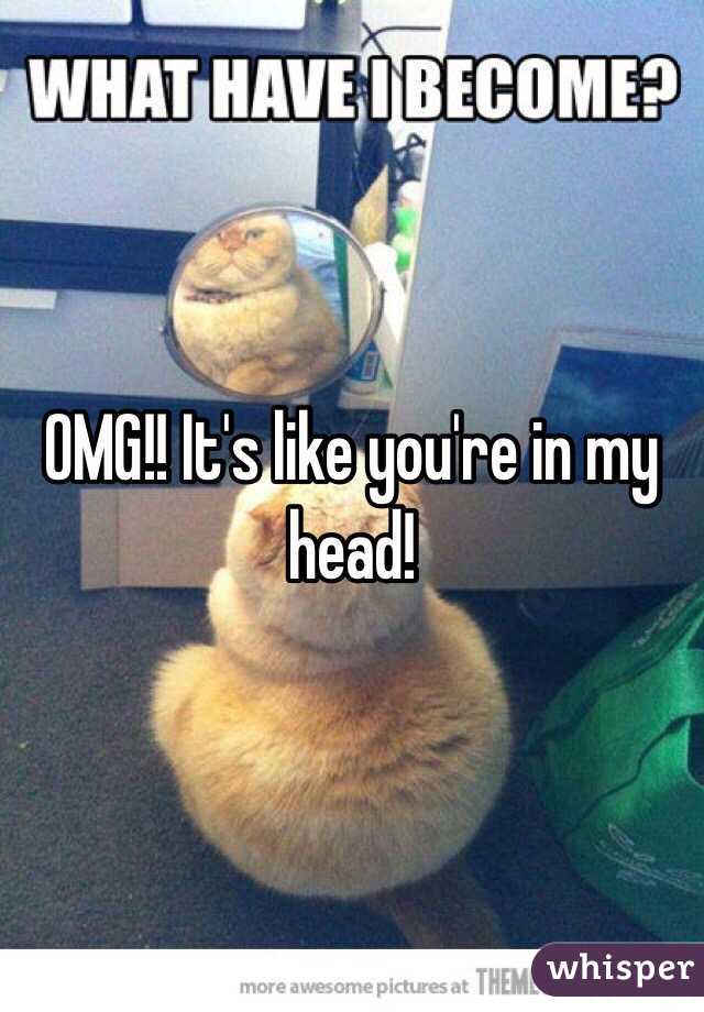 OMG!! It's like you're in my head!