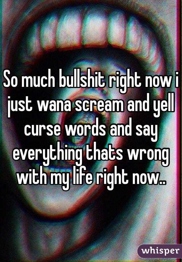 So much bullshit right now i just wana scream and yell curse words and say everything thats wrong with my life right now..