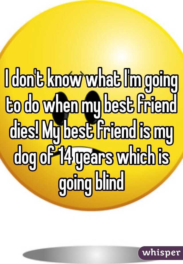 I don't know what I'm going to do when my best friend dies! My best friend is my dog of 14 years which is going blind