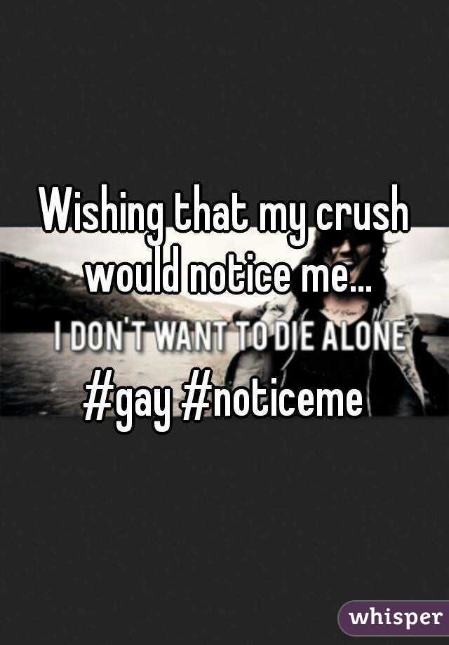 Wishing that my crush would notice me...

#gay #noticeme