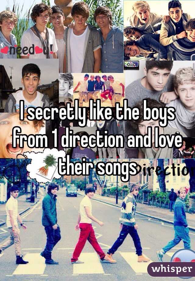 I secretly like the boys from 1 direction and love their songs 