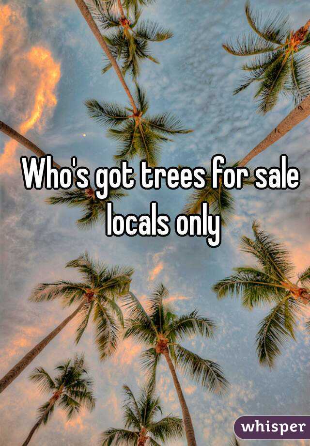 Who's got trees for sale locals only