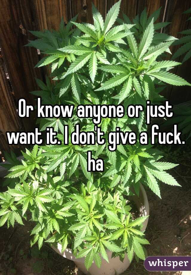 Or know anyone or just want it. I don't give a fuck. ha