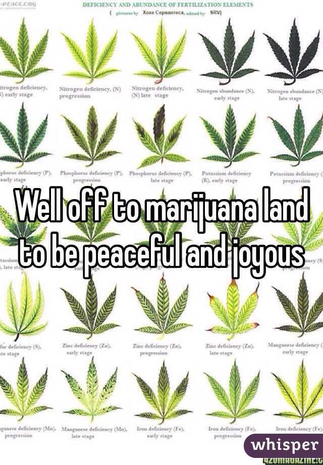 Well off to marijuana land to be peaceful and joyous 