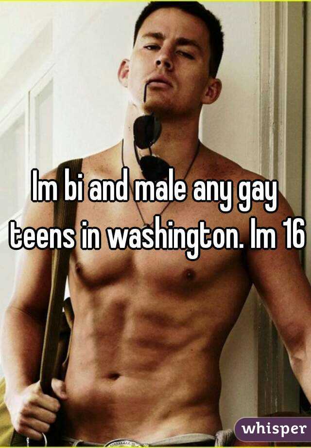 Im bi and male any gay teens in washington. Im 16