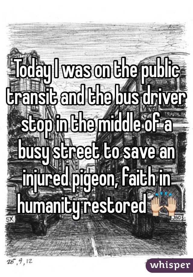 Today I was on the public transit and the bus driver stop in the middle of a busy street to save an injured pigeon, faith in humanity restored 🙌