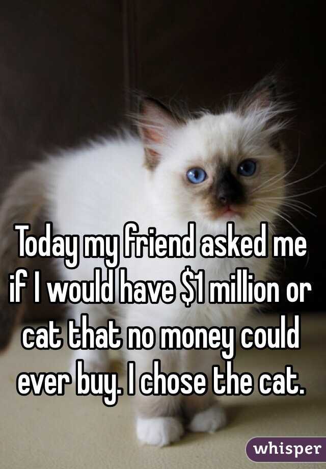 Today my friend asked me if I would have $1 million or cat that no money could ever buy. I chose the cat. 