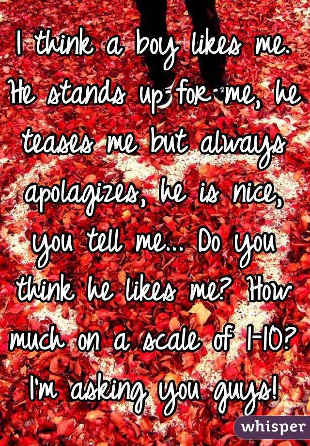 I think a boy likes me. He stands up for me, he teases me but always apolagizes, he is nice, you tell me... Do you think he likes me? How much on a scale of 1-10? I'm asking you guys!