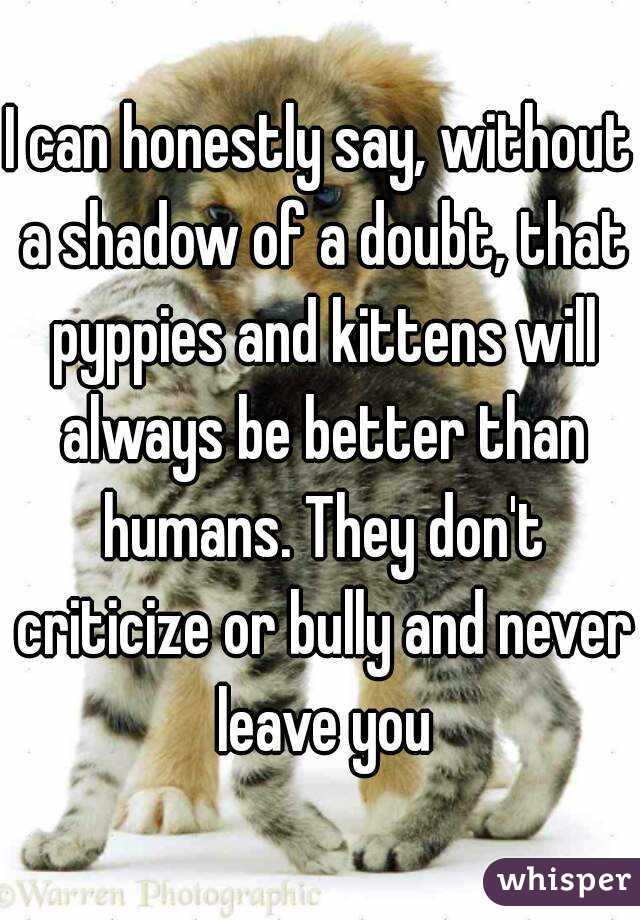 I can honestly say, without a shadow of a doubt, that pyppies and kittens will always be better than humans. They don't criticize or bully and never leave you