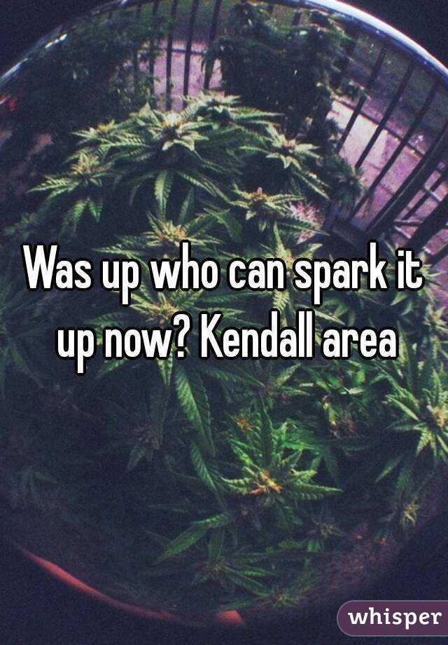 Was up who can spark it up now? Kendall area