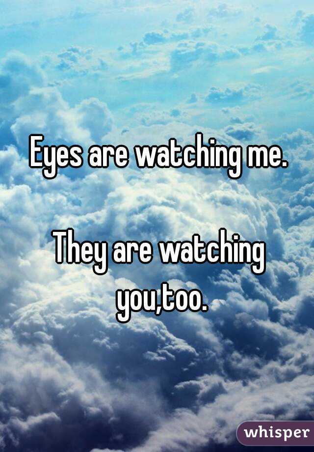 Eyes are watching me.

They are watching you,too.