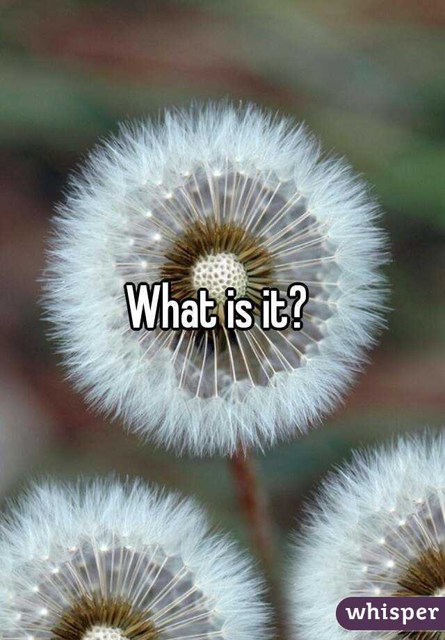 What is it? 