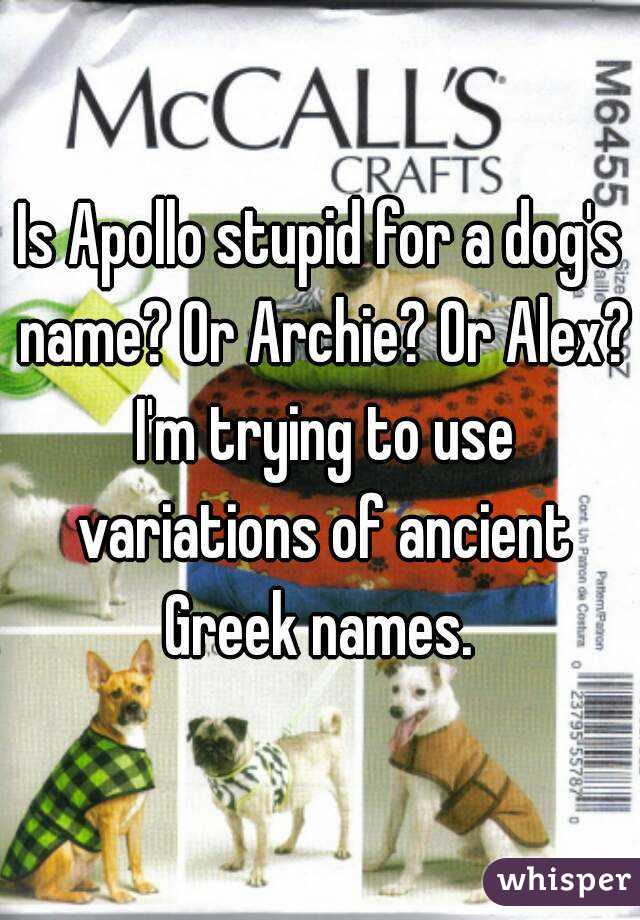 Is Apollo stupid for a dog's name? Or Archie? Or Alex? I'm trying to use variations of ancient Greek names. 