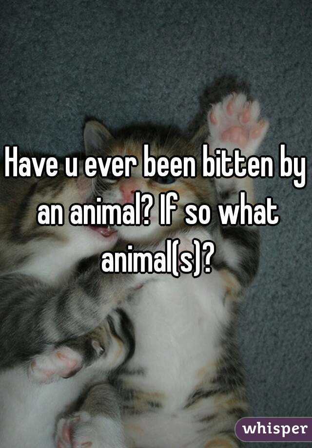 Have u ever been bitten by an animal? If so what animal(s)?