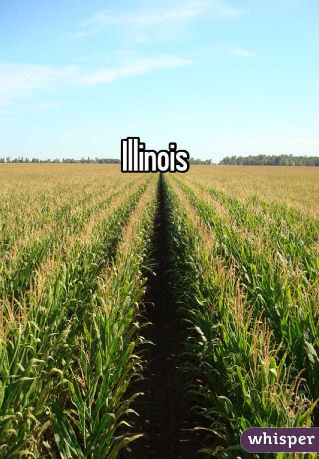 Illinois 