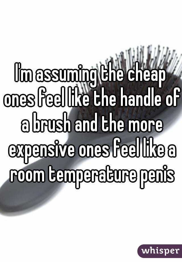 I'm assuming the cheap ones feel like the handle of a brush and the more expensive ones feel like a room temperature penis