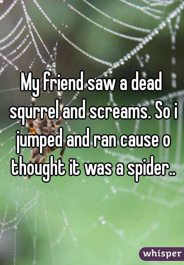 My friend saw a dead squrrel and screams. So i jumped and ran cause o thought it was a spider..