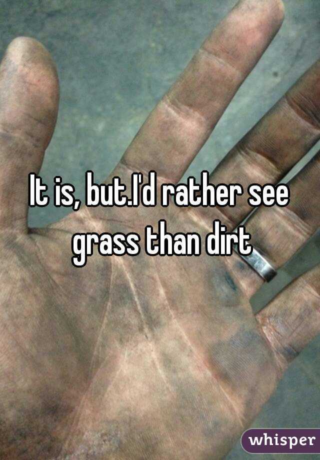 It is, but.I'd rather see grass than dirt