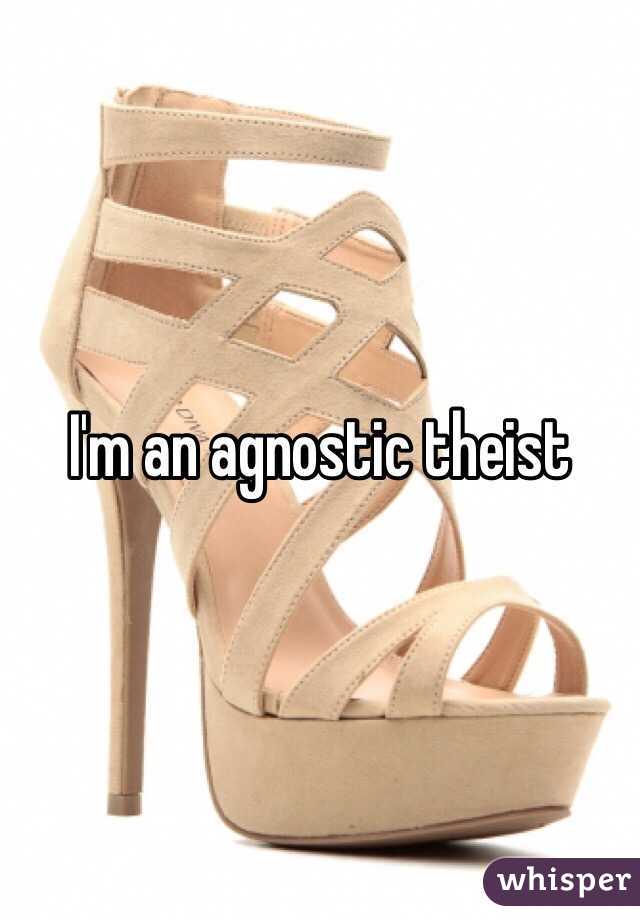 I'm an agnostic theist 