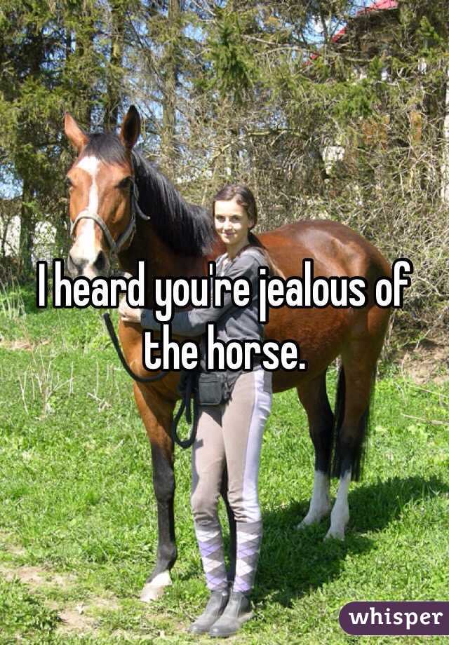 I heard you're jealous of the horse. 