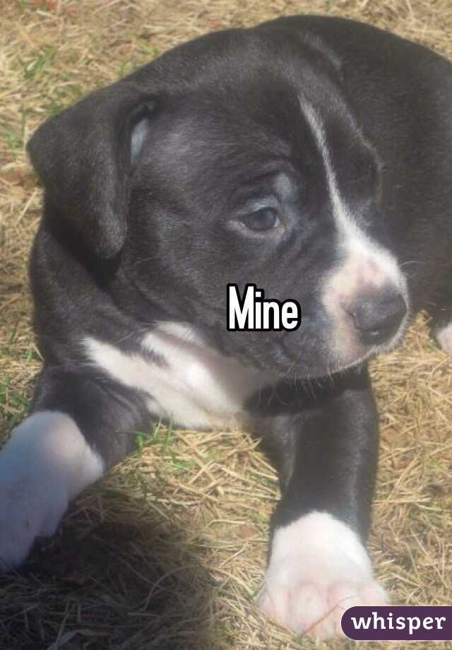 Mine