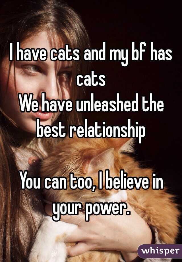 I have cats and my bf has cats
We have unleashed the best relationship

You can too, I believe in your power. 