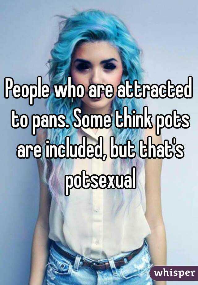 People who are attracted to pans. Some think pots are included, but that's potsexual