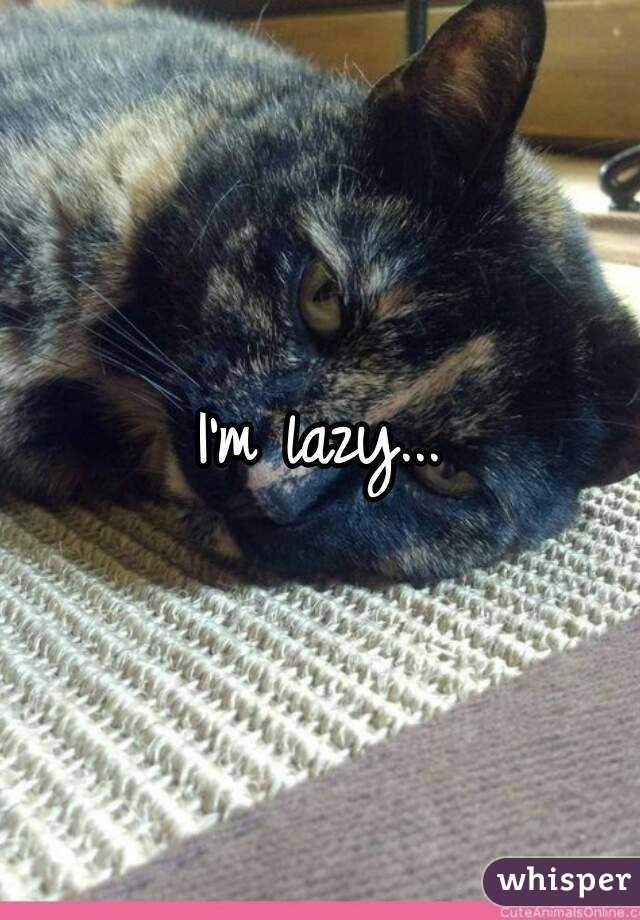 I'm lazy...