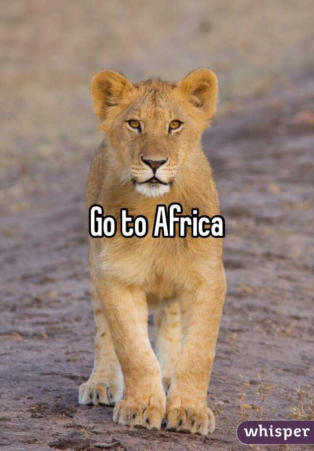 Go to Africa 