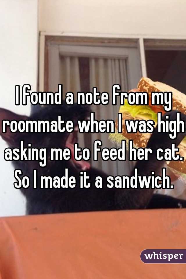 I found a note from my roommate when I was high asking me to feed her cat. So I made it a sandwich.