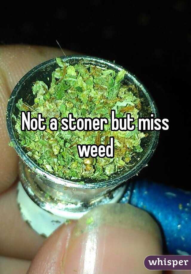 Not a stoner but miss weed