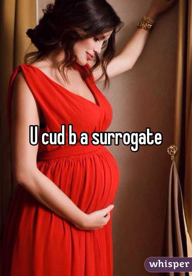 U cud b a surrogate 