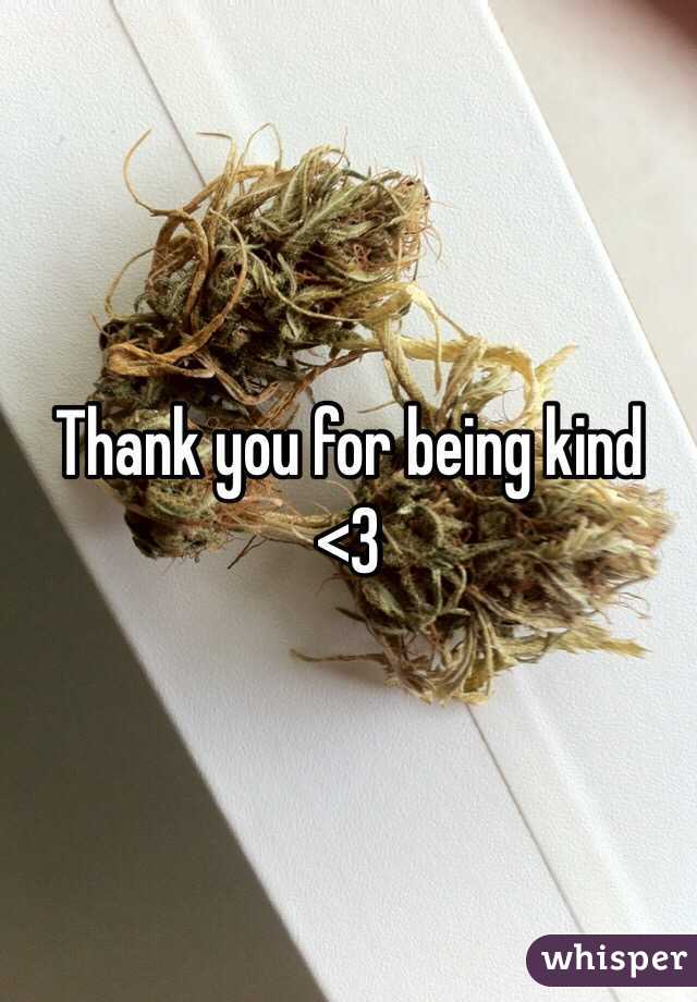 Thank you for being kind <3