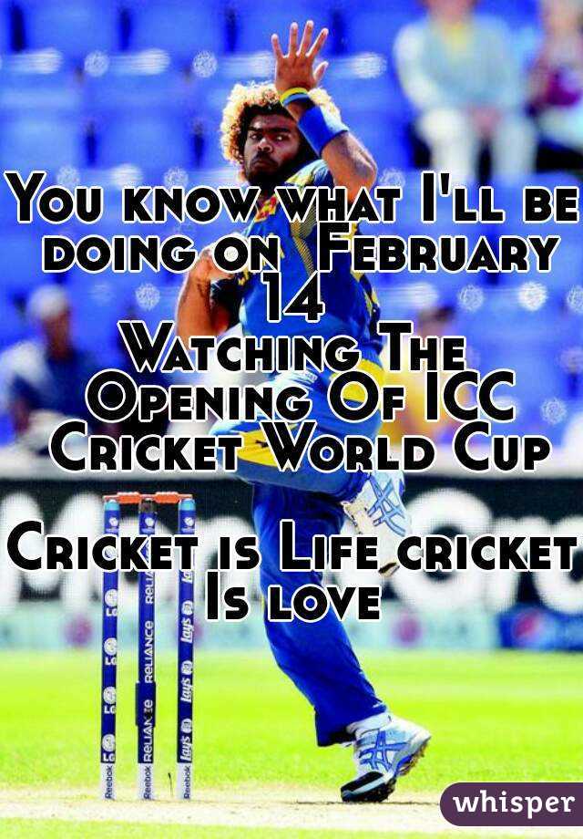 You know what I'll be doing on  February 14 
Watching The Opening Of ICC Cricket World Cup

Cricket is Life cricket Is love 