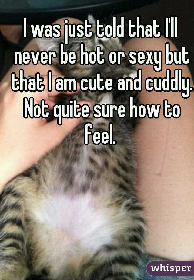 I was just told that I'll never be hot or sexy but that I am cute and cuddly. Not quite sure how to feel. 