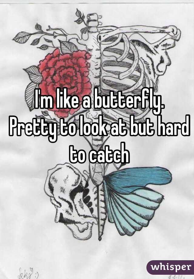 I'm like a butterfly.
Pretty to look at but hard to catch