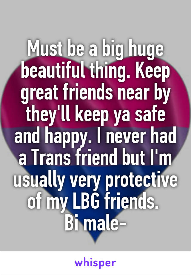 Must be a big huge beautiful thing. Keep great friends near by they'll keep ya safe and happy. I never had a Trans friend but I'm usually very protective of my LBG friends. 
Bi male-