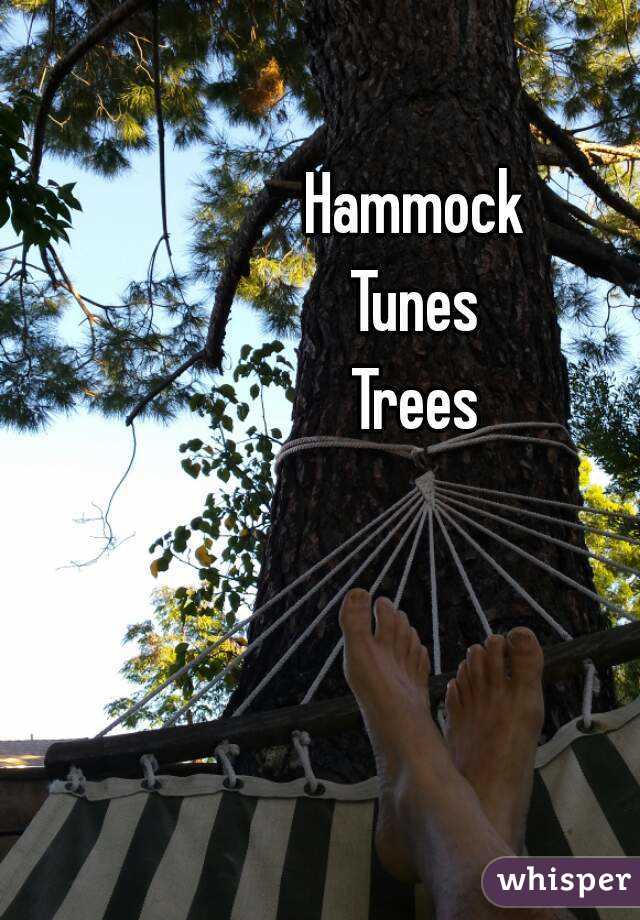 Hammock
Tunes
Trees