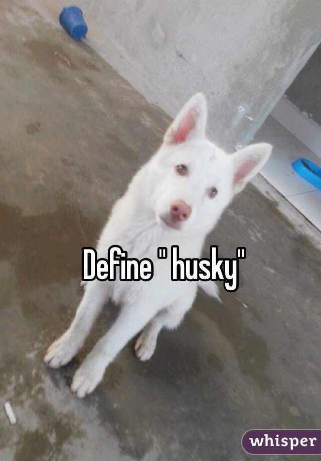 Define " husky" 