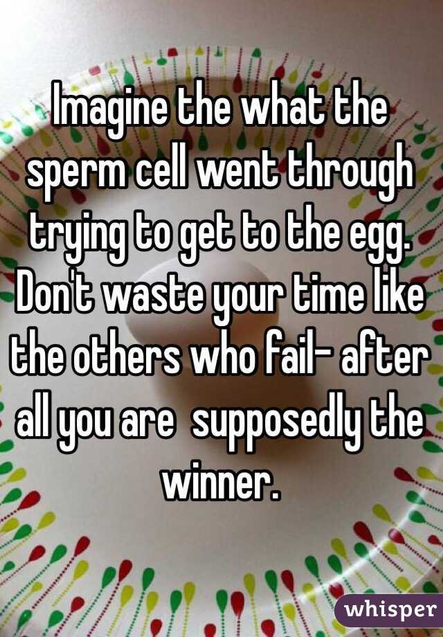Imagine the what the sperm cell went through trying to get to the egg. Don't waste your time like the others who fail- after all you are  supposedly the winner.