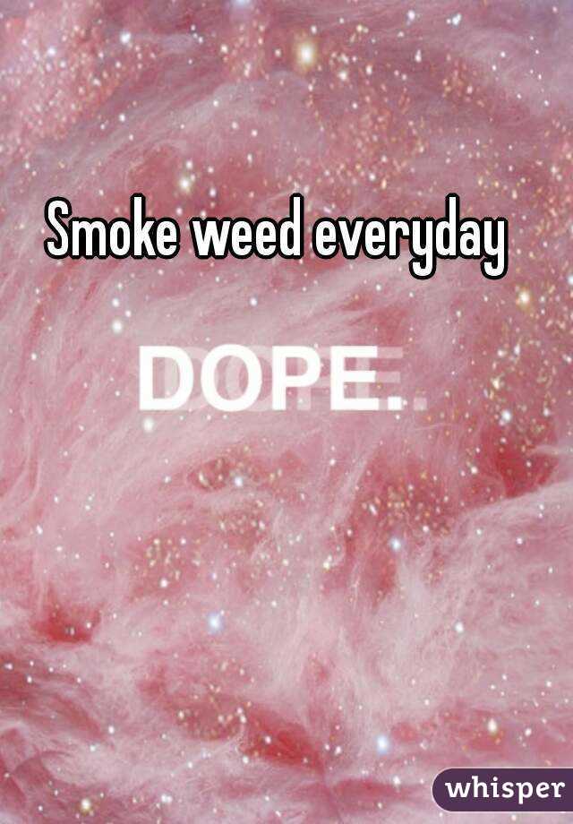 Smoke weed everyday
