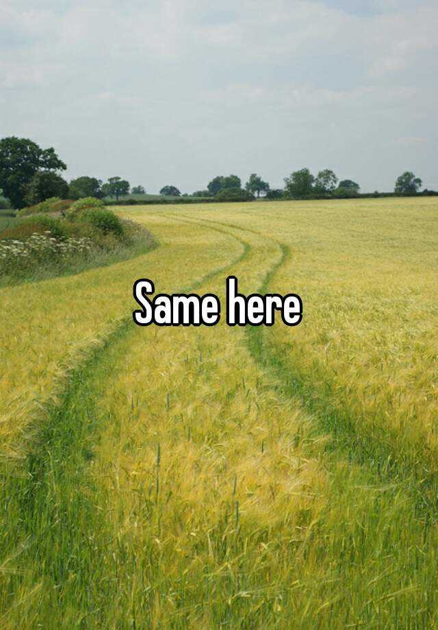 same-here