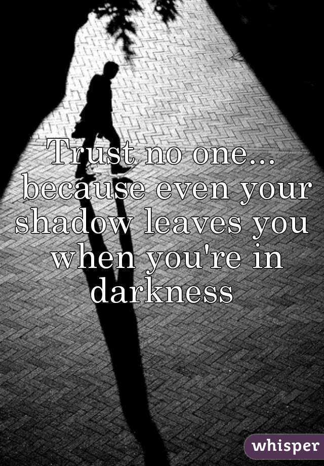 Trust no one... because even your shadow leaves you  when you're in darkness 