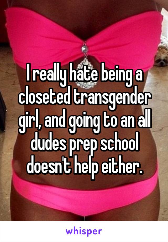 I really hate being a closeted transgender girl, and going to an all dudes prep school doesn't help either.