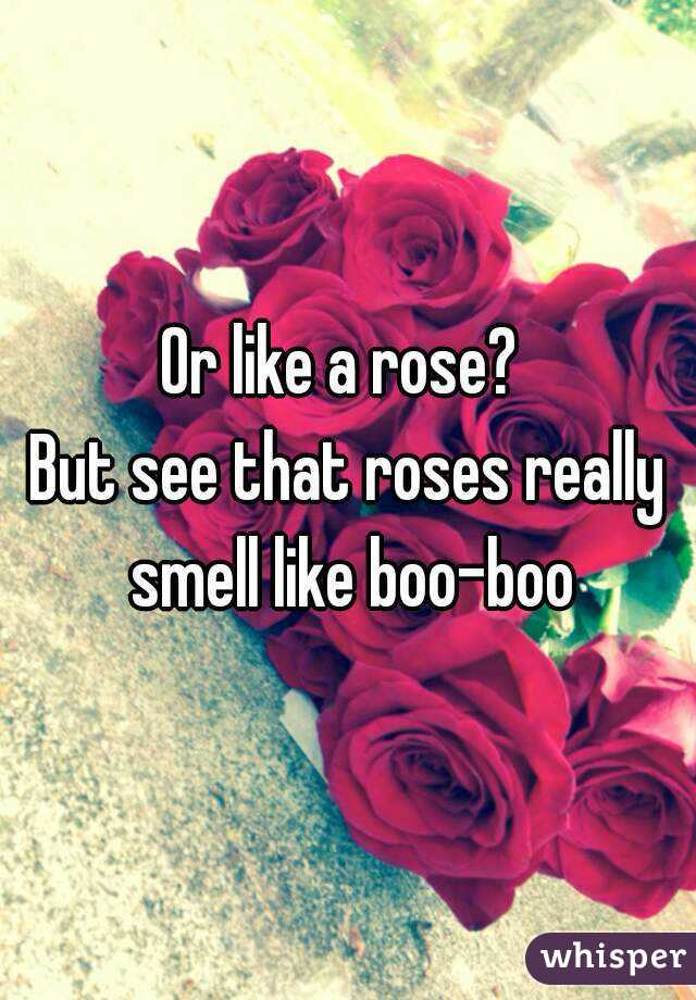 Or like a rose? 
But see that roses really smell like boo-boo