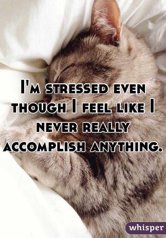 
I'm stressed even though I feel like I never really accomplish anything. 