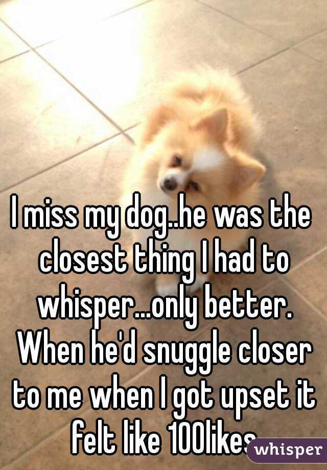 I miss my dog..he was the closest thing I had to whisper...only better. When he'd snuggle closer to me when I got upset it felt like 100likes