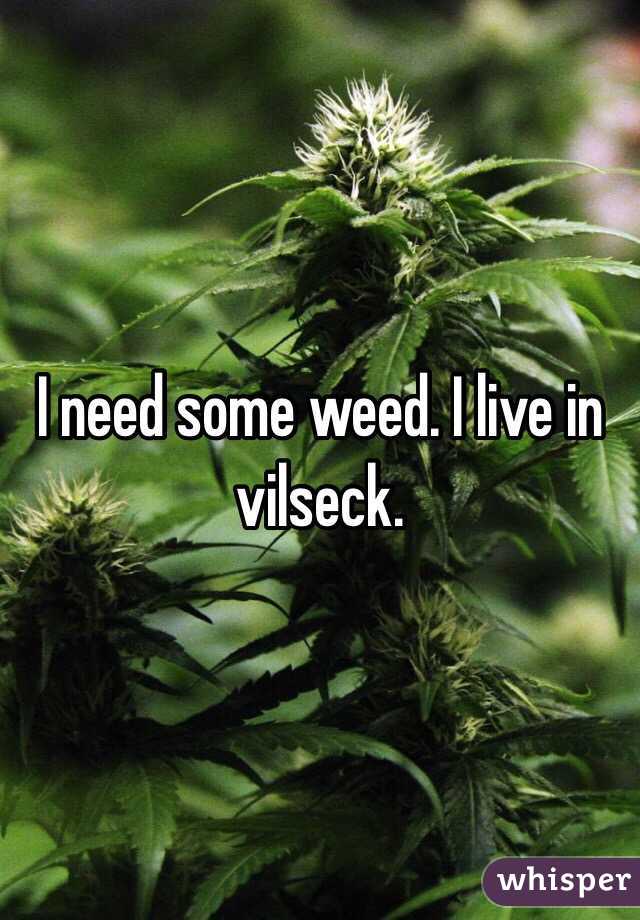 I need some weed. I live in vilseck.