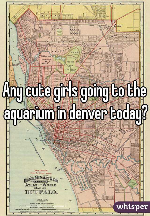 Any cute girls going to the aquarium in denver today?